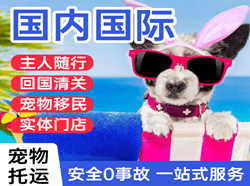 扬州航空货运国际宠物托运 【国